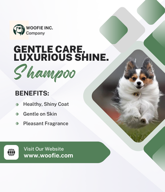 Funnel visual quality assurance preview